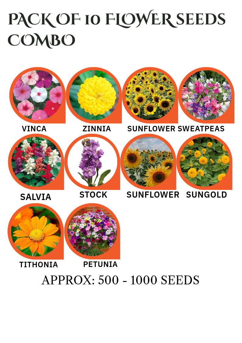 Pack of 10 Flower Seed Combo